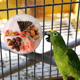 Papegaai Foerageren Speelgoed Apparaat Vogel Bite Speelgoed Wiel Vorm Draaibare Vogels Puzzel Voeden Voedsel Doos