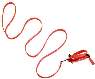 Papegaai Trein Leash 1Cm Breed Verstelbare Polyester Harness Leash Voor Vogels Papegaaien Verstelbare Anti-Bite Veelkleurige Licht Zacht rood