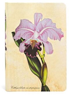 Paperblanks Painted Botanica Brazilian Orchid  Mini - Gelinieerd