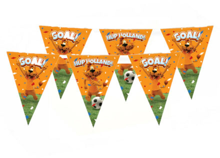 paperdreams Loeki de Leeuw Hup Holland vlaggenlijn 2x oranje 10 meter