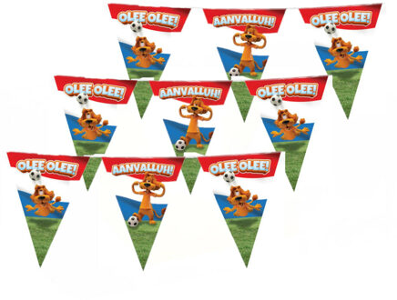 paperdreams Loeki de Leeuw Hup Holland vlaggenlijn 3x rood/wit/blauw 10 meter