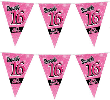 paperdreams Sweet 16 slingers 10 meter roze - 2x - 16e Verjaardag - Vlaggenlijnen/slingers - Feestversiering