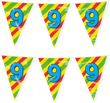 paperdreams Verjaardag 9 jaar thema vlaggetjes - 2x - feestversiering - 10m - folie - dubbelzijdig