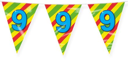 paperdreams Verjaardag 9 jaar thema Vlaggetjes - Feestversiering - 10m - Folie - Dubbelzijdig - Vlaggenlijnen Multikleur