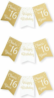 paperdreams Verjaardag Vlaggenlijn 16 jaar - 3x - binnen - karton - wit/goud - 600 cm
