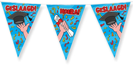 paperdreams Vlaggenlijn - geslaagd/afstudeer feest- 10 m - diverse kleuren - folie