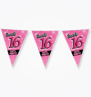 paperdreams vlaggenlijn Sweet 16 meisjes 10 meter roze