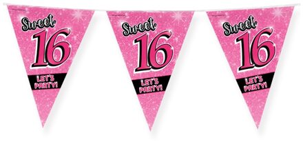 paperdreams vlaggenlijn Sweet 16 meisjes 10 meter roze