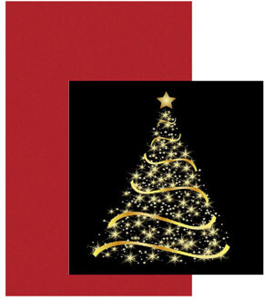 Papieren tafelkleed/tafellaken rood inclusief kerst servetten Multi