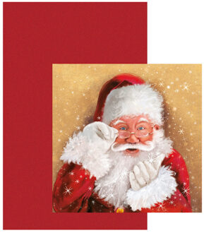 Papieren tafelkleed/tafellaken rood inclusief kerst servetten Multi