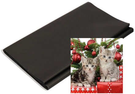 Papieren tafelkleed/tafellaken zwart inclusief kerst servetten Multi