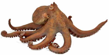 Papo Plastic Papo dier octopus 20 cm