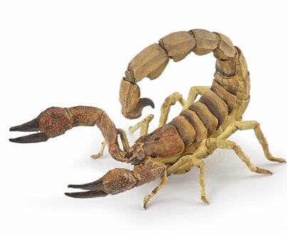 Papo Plastic speelgoed figuur - dieren - schorpioen - 10 cm Multi