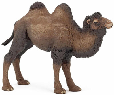 Papo Plastic speelgoed figuur kameel 12 cm