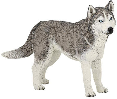 Papo Plastic speelgoed honden/dieren figuur Husky 11 cm