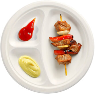 Papstar BBQ wegwerp vakjes borden - 50x stuks - D23 cm - suikerriet - biologisch afbreekbaar