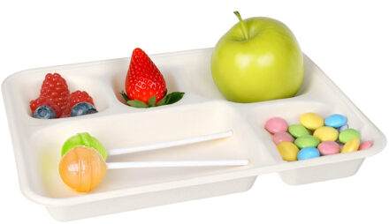 Papstar Wegwerp vakjes borden - 25x stuks - 22 x 28 x 2 cm - suikerriet - biologisch afbreekbaar