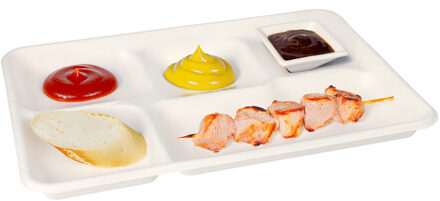 Papstar Wegwerp vakjes borden - 25x stuks - 22 x 32 x 2 cm - suikerriet - biologisch afbreekbaar