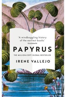 Papyrus Irene Vallejo