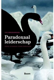 Paradoxaal leiderschap - Boek Ivo Brughmans (9058754472)