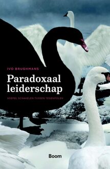 Paradoxaal leiderschap - eBook Ivo Brughmans (9461279957)