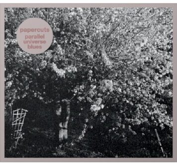 Parallel Universe Blues