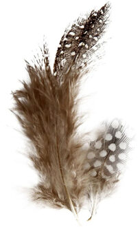 Parelhoen sier veren - 100x - bruin - hobby - Pasen