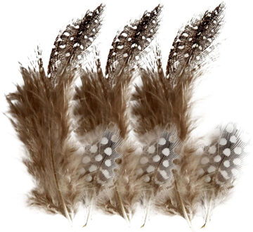 Parelhoen sier veren - 300x - bruin - hobby - Pasen