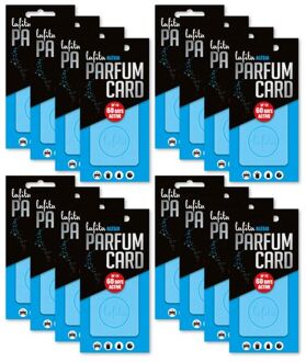 Parfum Card Alésia - Luchtverfrisser - 16 Stuks - Lichtblauw - Kruidig & Houtig