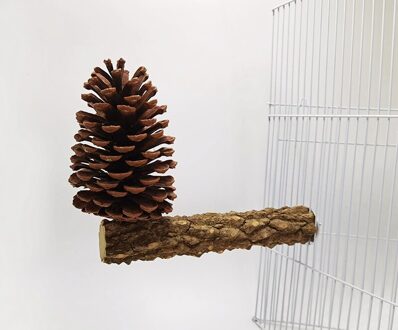 Parrot Claw Slijpen Stok Natuurlijke Tak Staande Pole Met Dennenappel Decoratie Papegaai Slijpen Stand Klauwen Vogel Benodigdheden ZA264