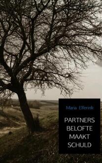 Partners belofte maakt schuld - Boek Maria Elferink (9402177426)