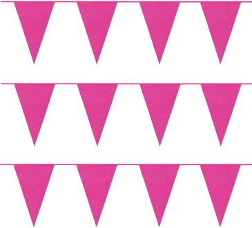 Party Vlaggenlijn puntvlaggetjes - 8x - kunststof - fuchsia - 10 meter - Slinger - versiering