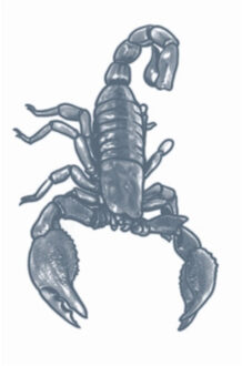 partychimp Carnaval verkleed nep tattoo - gangster schorpioen - getatoeerde armen - volwassenen