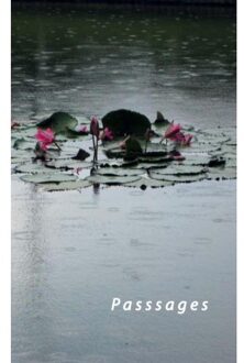 Passages - Gemma Pappot