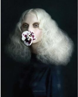 Past Present - Justine Tjallinks