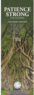 Patience Strong Slim Calendar 2025 - Calendars, Carousel