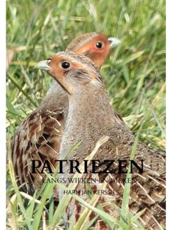 Patriezen - Harm Jan Kerssies