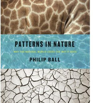 Patterns in Nature