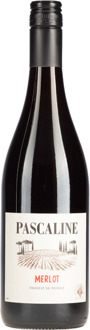 Paul Mas Pascaline Merlot IGP