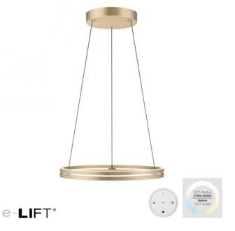 Paul Neuhaus Hanglamp E-Loop e-Lift Ø 70 cm mat goud Goudkleurig