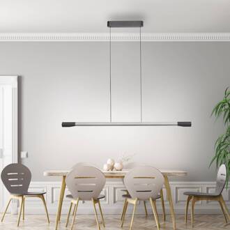 Paul Neuhaus LED hanglamp Hoop, aluminiumkleurig, 128 cm, dimbaar
