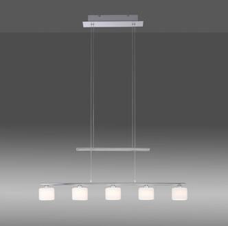 Paul Neuhaus LED hanglamp Hydra, 5-lamps, staalkleurig staalkleurig, opaal