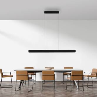 Paul Neuhaus LED hanglamp Q-Stretto, zwart, 120 cm zwart, wit