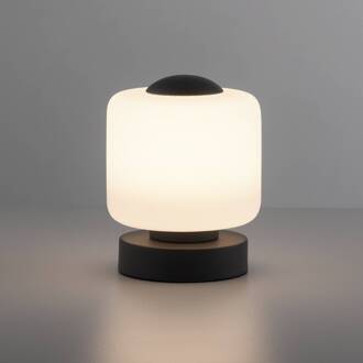 Paul Neuhaus LED tafellamp Bota, antraciet, glas, dimbaar