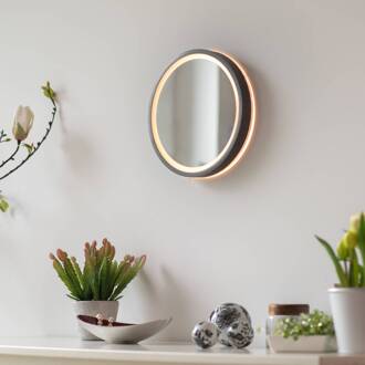 Paul Neuhaus LED-wandspiegel VIDRO, grijs, Ø 26 cm, powerbank, schakelaar grijs, spiegelend