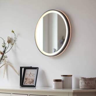 Paul Neuhaus LED-wandspiegel VIDRO, grijs, Ø 46 cm, powerbank, schakelaar grijs, spiegelend