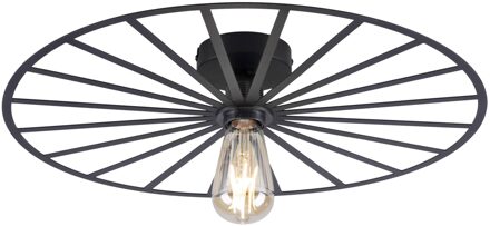 Paul Neuhaus Plafondlamp Isabella Ø 50 cm zwart