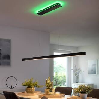 Paul Neuhaus Q-ARIAN LED hanglamp, antraciet antraciet, wit