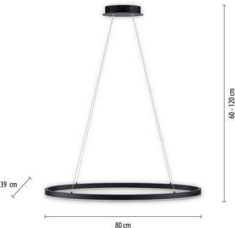 Paul Neuhaus Titus LED hanglamp, Oval 80x39cm antraciet