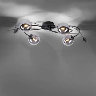 Paul Neuhaus Widow LED plafondlamp, 4-lamps zwart, rookgrijs-transparant